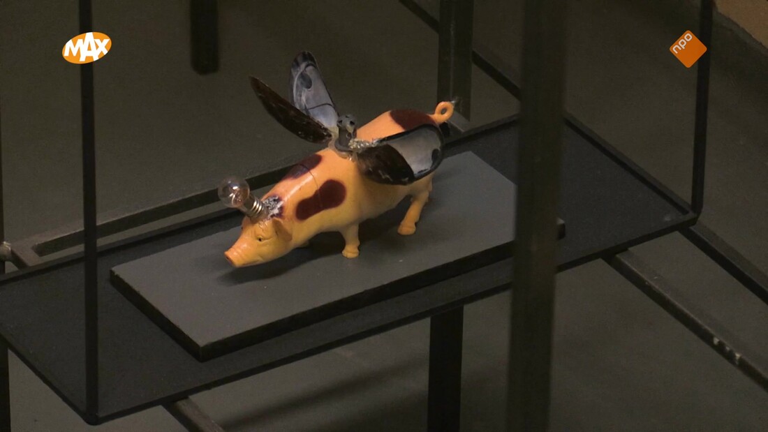 Noord-Zuid-Oost-West